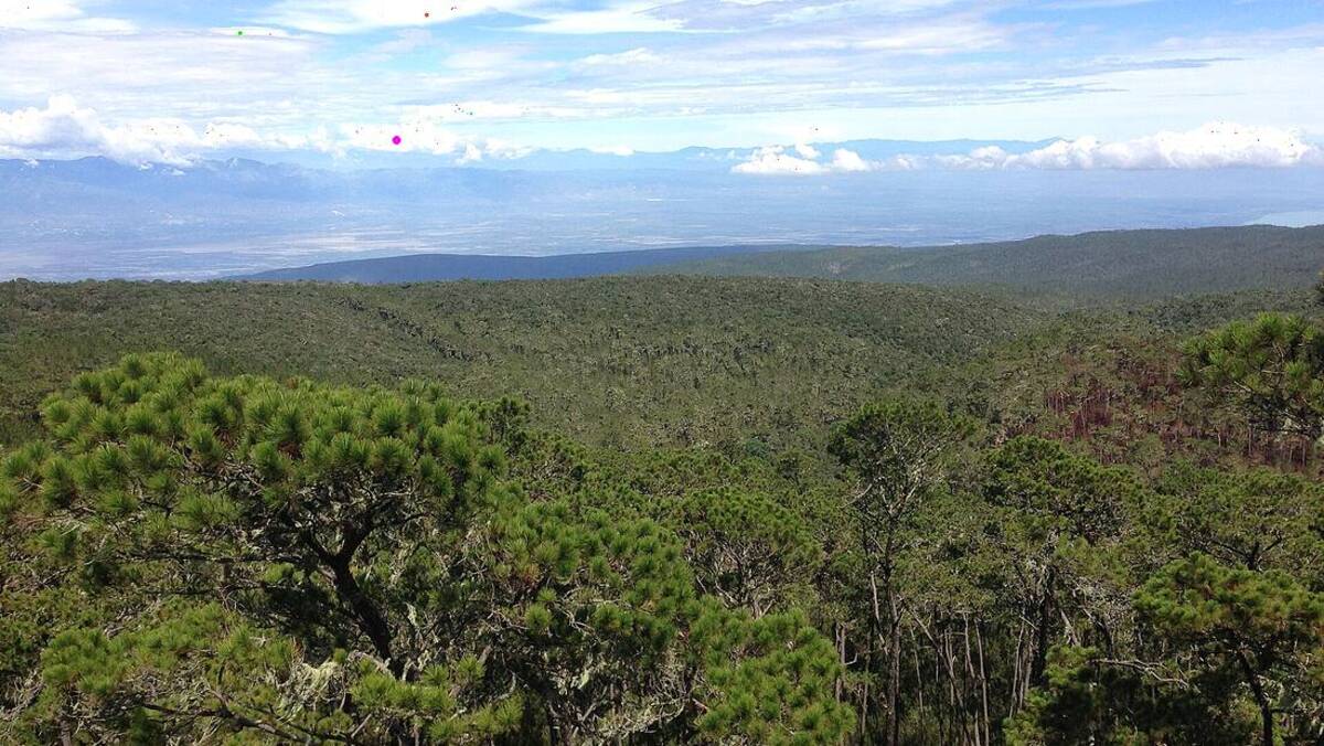 Rép. dominicaine · Barahona — région d'origine du café République Dominicaine