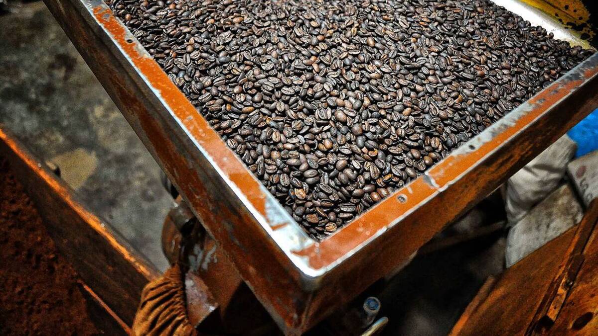 Compatibles Nespresso® — région d'origine du café Capsules Moka Harrar